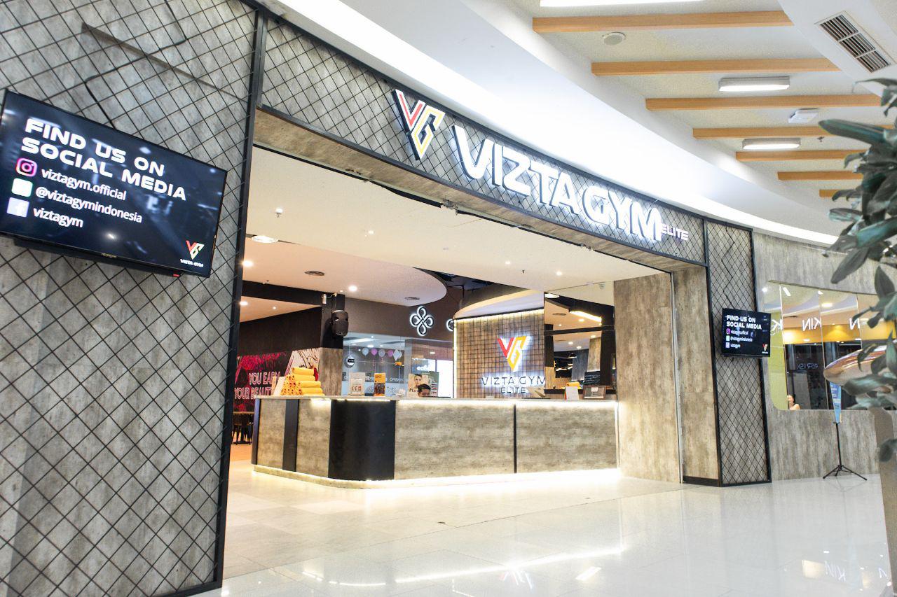 Vizta Logo